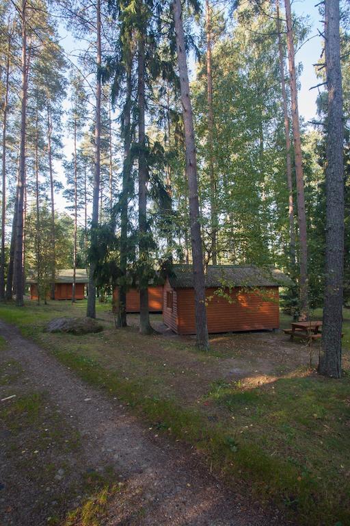 Atputas Komplekss Godeli Usma Pokoj fotografie
